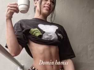 Domin_hamss