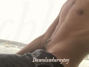 Downlowhornytoy
