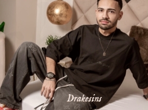 Drakesins