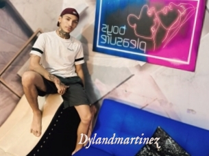 Dylandmartinez