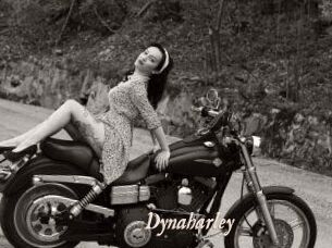 Dynaharley