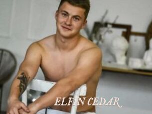 ELFIN_CEDAR