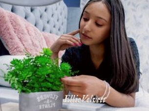 EllieVelvett