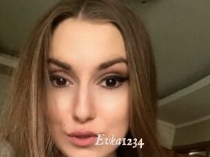 Evka1234