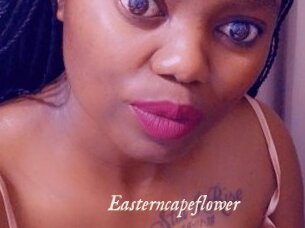 Easterncapeflower