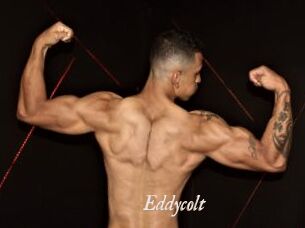 Eddycolt