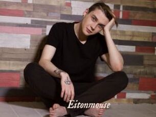 Eitonmouse