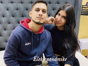 Elektraandmike