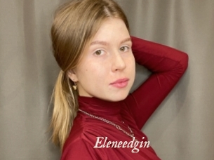 Eleneedgin