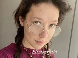 Elenegarfield