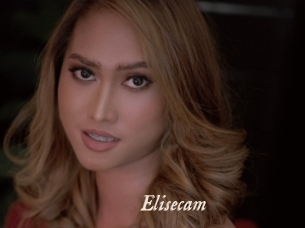 Elisecam