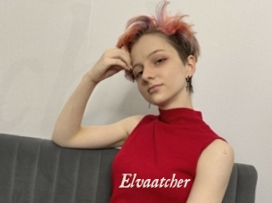 Elvaatcher