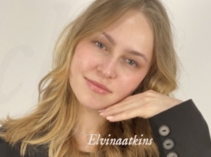 Elvinaatkins