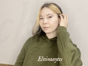Elvinaaytes