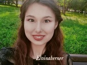 Elvinaberner