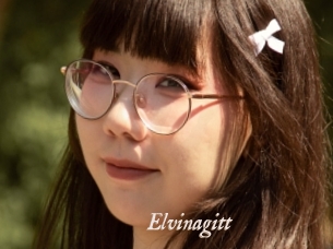 Elvinagitt