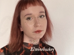 Elwinebuskey