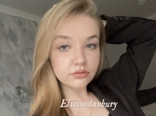 Elwinedanbury