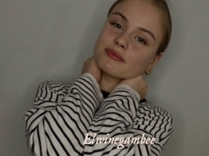 Elwinegambee