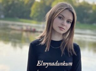 Elwynadunkum
