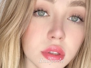 emilycarles Chobix 