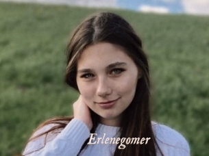 Erlenegomer