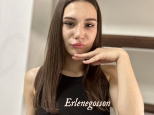 Erlenegosson