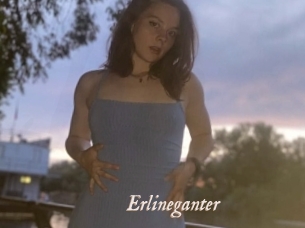 Erlineganter