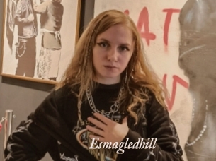 Esmagledhill