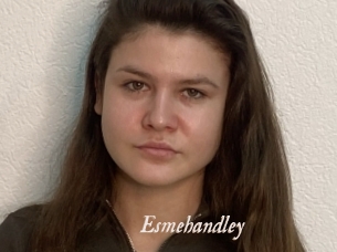 Esmehandley