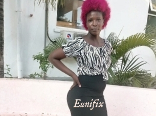 Eunifix