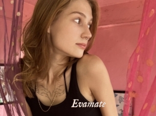 Evamate