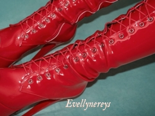 Evellynereys