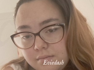 Eviedash