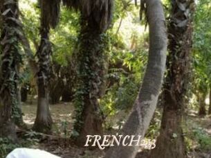 FRENCH213