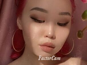 FactorCam