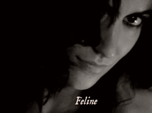 Feline