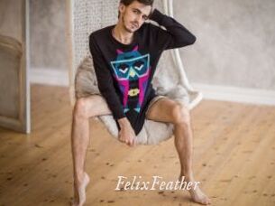 FelixFeather
