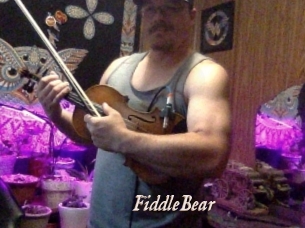 FiddleBear