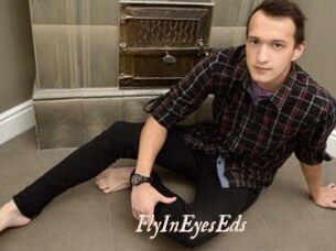 FlyInEyesEds