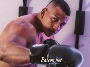 Falcon_hot