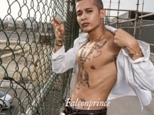 Falconprince