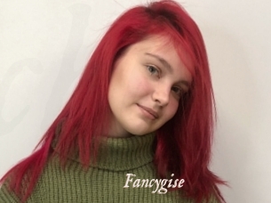 Fancygise
