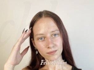 Felicebeldin
