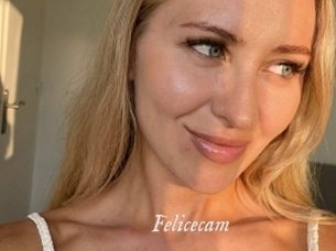 Felicecam