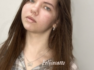 Felicecatts