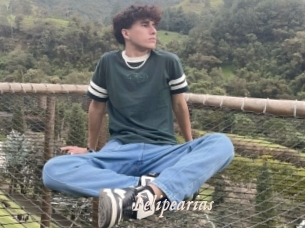 felipearias Chobix 