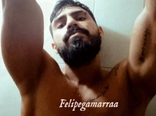 Felipegamarraa