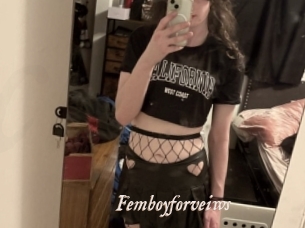 Femboyforveiws