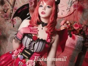 Fliskakamomill